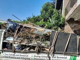 Best Shed Removal  in Reston, VA
