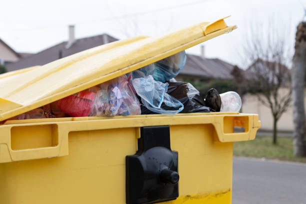 Best Recycling Services for Junk  in Reston, VA